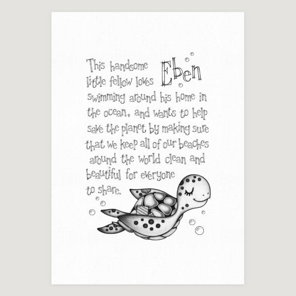 Little Sea Turtle Story Mono