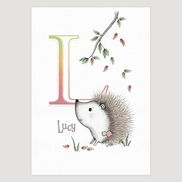 Little Hedgehog Initial Colour