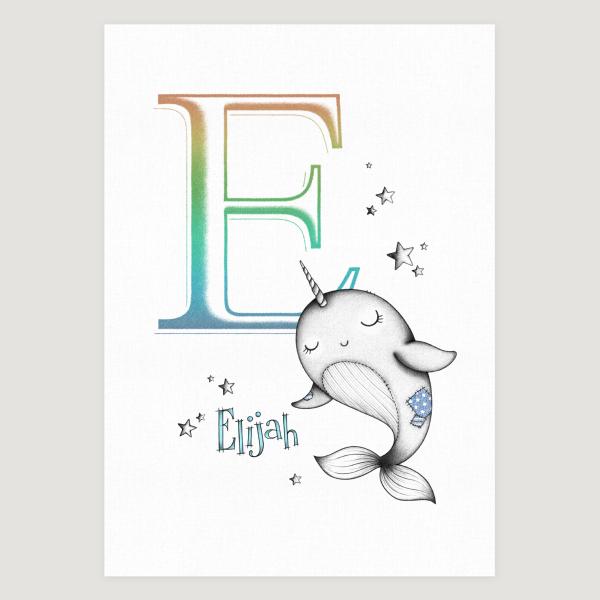 Little Narwhal initial Colour