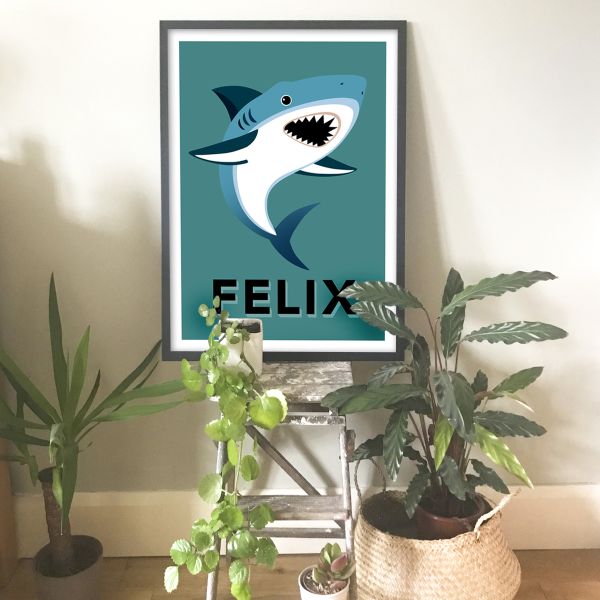 Shark frame teal