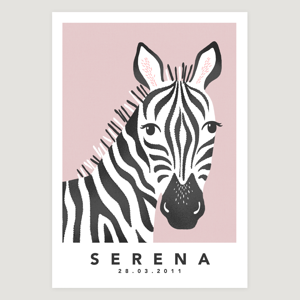 Zebra pink